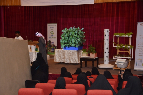 الزراعة المائية - مهدي الصنابير - تنمية القطيف