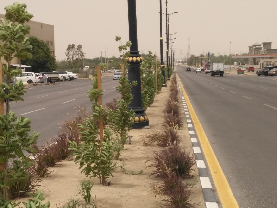 ����� ������� �� ����� ������